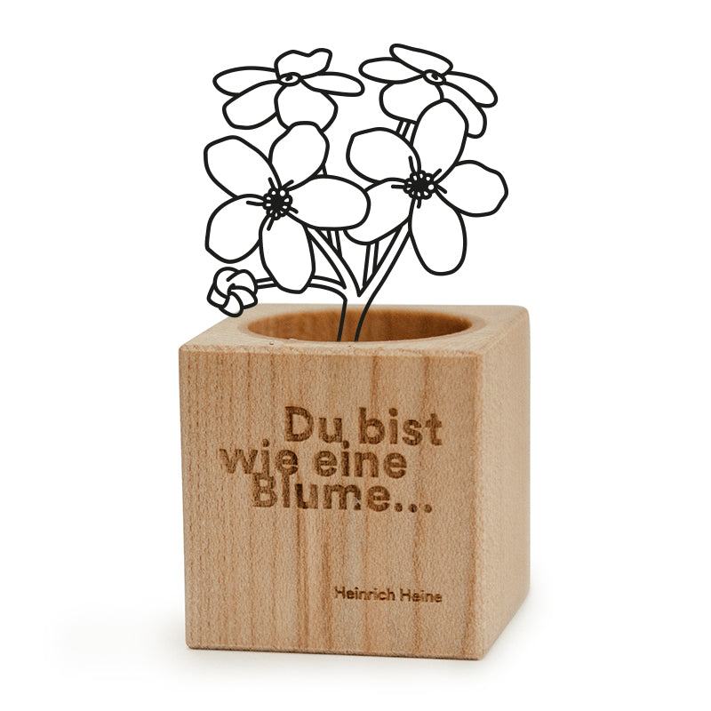 pflanztopf würfel Pflanz-Cube Vergissmeinnicht – Der Düsseldorf-Shop