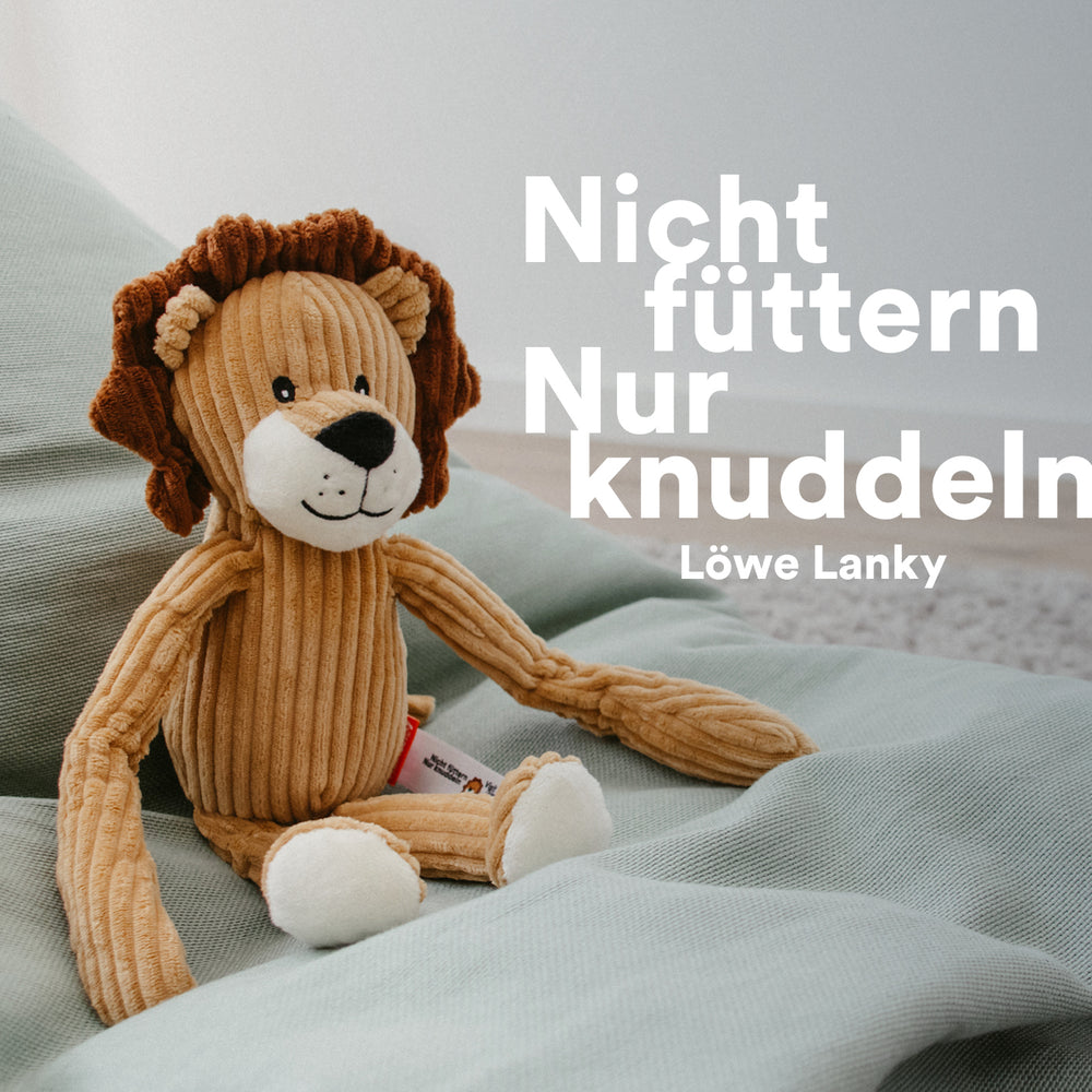 Der Düsseldorf-Shop