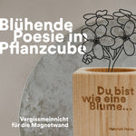 Der Düsseldorf-Shop