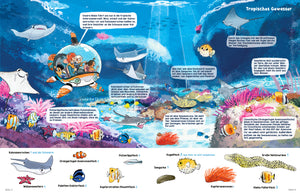 
                  
                    Wimmelwissen Aquazoo
                  
                