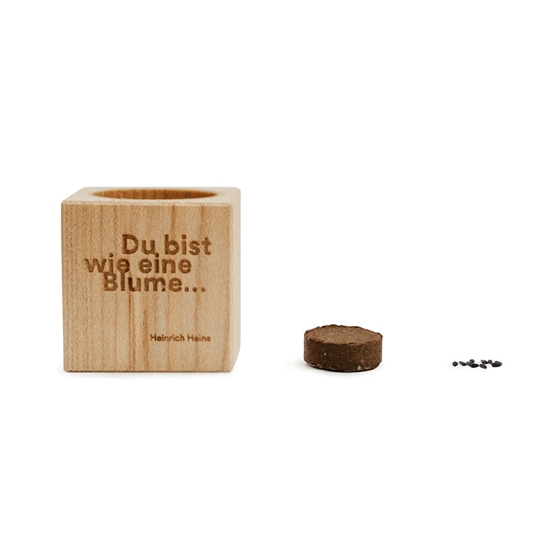 
                  
                    Pflanz-Cube Vergissmeinnicht
                  
                