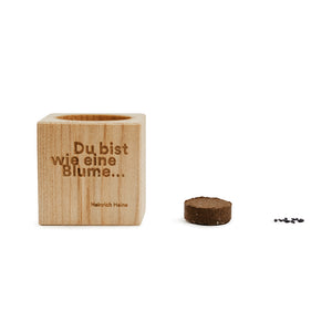 
                  
                    Pflanz-Cube Vergissmeinnicht
                  
                